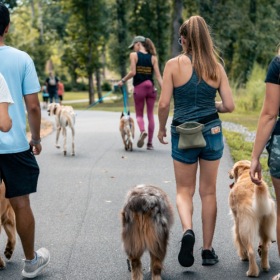 We're a pet-friendly community a group of people walking their pets
